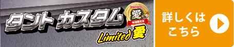 タント ワイルド GOGO パック