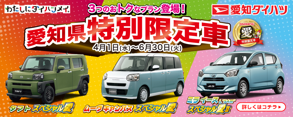 愛知県特別限定車スペシャル愛シリーズ