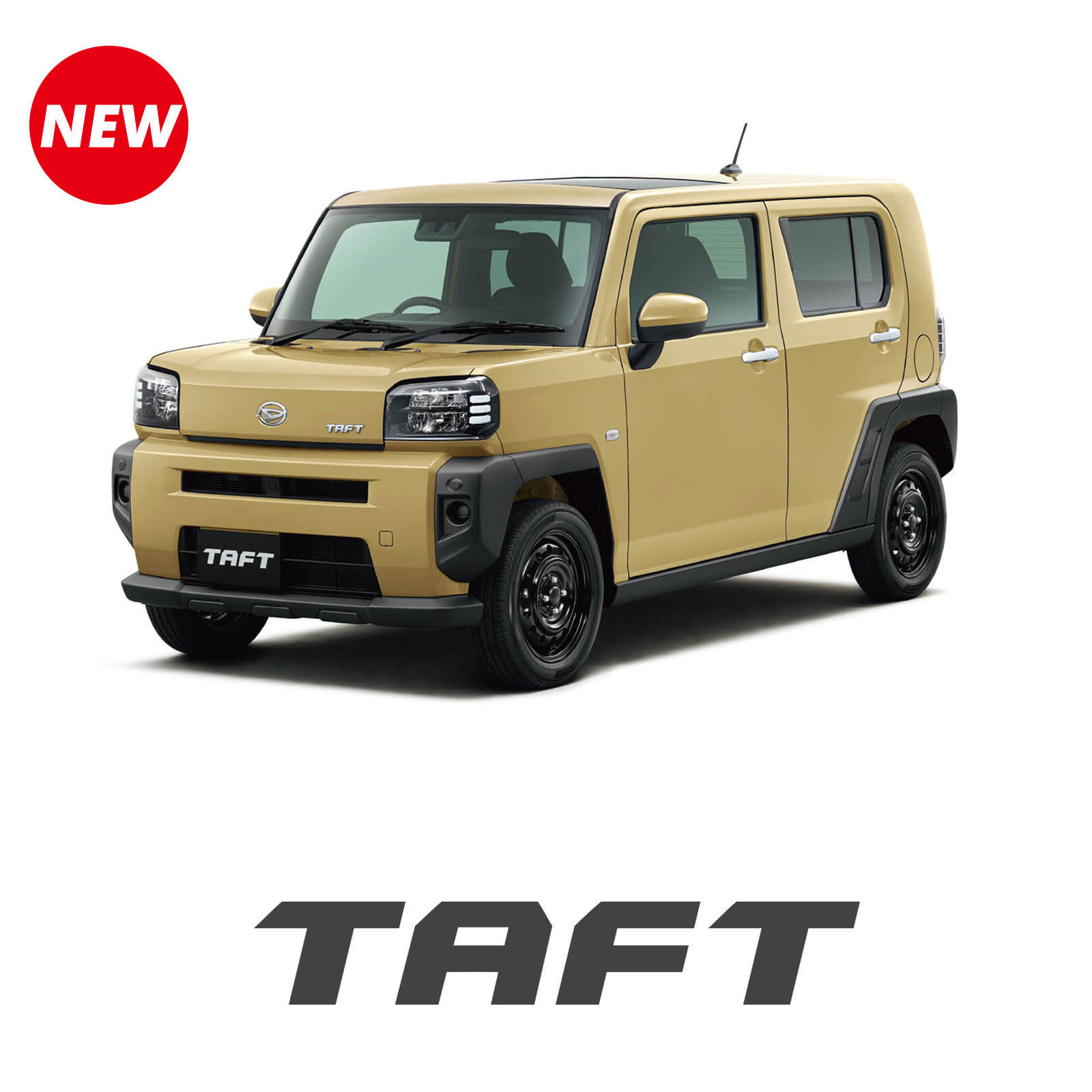 タフト